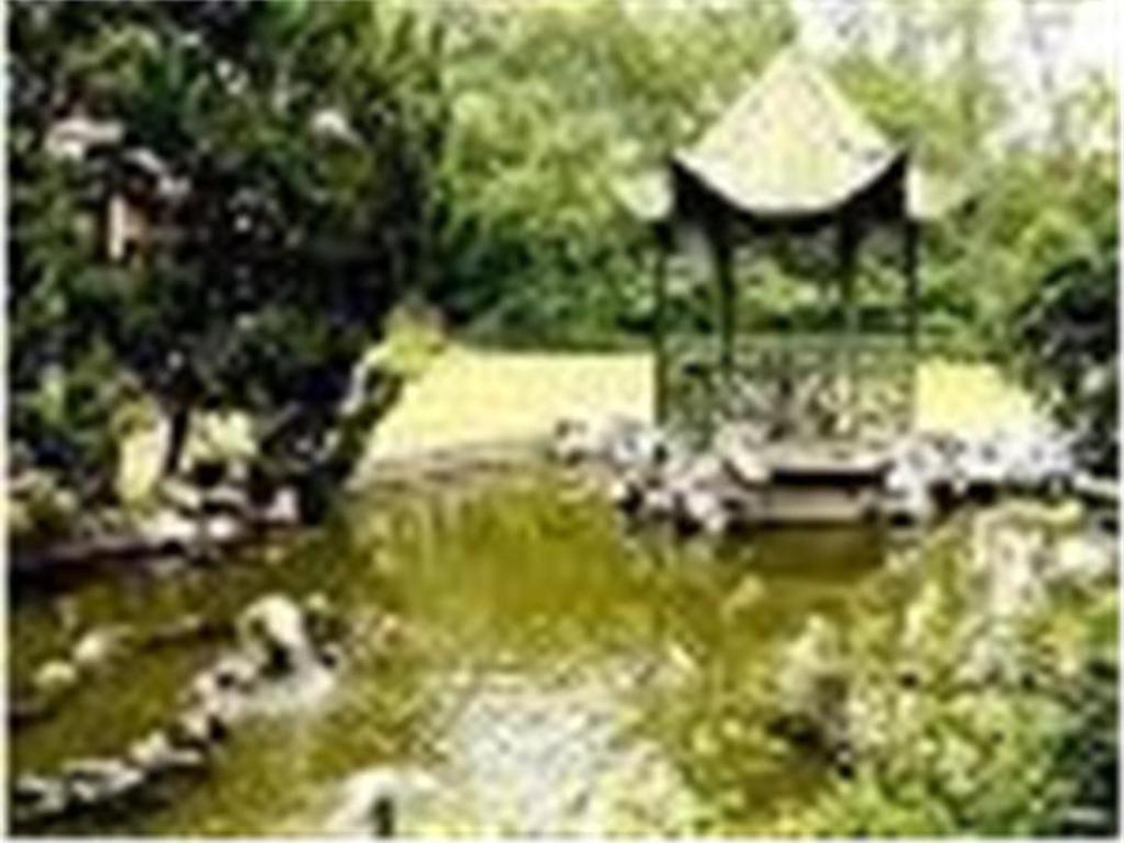 Cypress Hotel Jin Jiang Shanghai Luaran gambar
